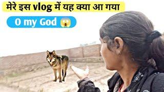 मैरी  इस Vlog वीडियो में यह क्या  आ गया दोस्तों   O My God 