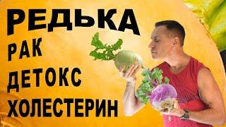 Редька и хрен спасают печень и гонят рак! 100% детокс