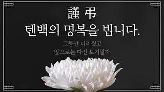 이 전술 쓰고도 텐백 못잡으면 절 욕하세요