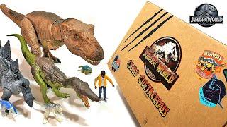 Camp Cretaceous Special Edition Crate - Jurassic World Dinosaurs