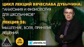 Вячеслав Дубынин: "Мышление, воля, принятие решений" (Лекция 28)