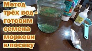 Метод трёх вод - подготовка семян моркови к 100% всхожести