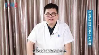 【泌尿外科】尿黄尿骚味特别重是什么原因