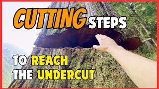 174. PowerWedge on a 7ft Tree | Undercut Trick