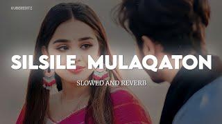 Silsile Mulaqaton Ke Na (Slowed and Reverb) | UditNarayan & Alka Yagnik | Bardaasht | KuberEditz