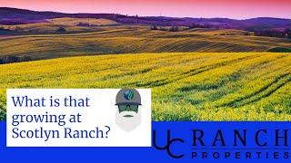 Farm ground for sale at Scotlyn Ranch Kamiah, Idaho