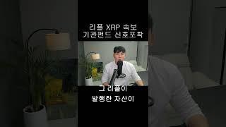 [리플 XRP] 반등 신호 포착!
