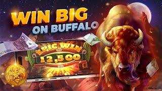 Winning Schemes for Majestic Wild Buffalo Slot 