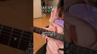 왕초보 일렉기타 87일차 - 실리카겔 바람 피고.. 아니 치고 다녀왔습니다