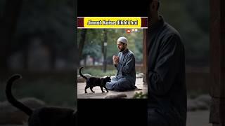 Jinnat Jaise Dikhti Hai       #shorts #facts #viralvideo #islamicvideo