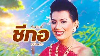 เพลง ชีกอเหมือนเดิม สีไพร ไทยแท้ LYRICS VIDEO พร้อมเนื้อเพลง