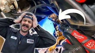 Someone Screwed Me! - Flipping My $500 BMW E46 330i