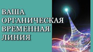 Ваша Органическая Временная Линия