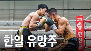 한국과 일본을 대표하는 유망주들 간의 경기 | 슈퍼플라이급 국제 랭킹전(4R) 윤대산 vs 타쿠미 마스오 20241019