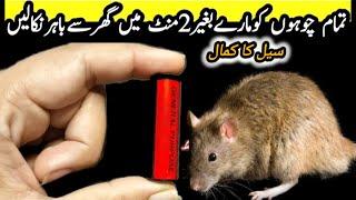 get rid of mouse | Chuhe baghane ka tarika | Rat killer trick | rat killer spray #kitchentips