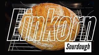 Weekly Einkorn Sourdough Bread - Step by Step