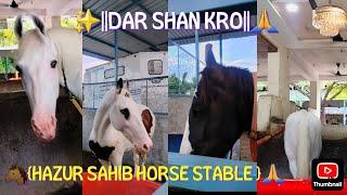 ||DHARSHAN KRO ||HAZUR SAHIB HORSE STABLE DE#nanded_horse #gurugranthsahib #hazursahib#horse#view