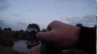 Sunday Evening Yak