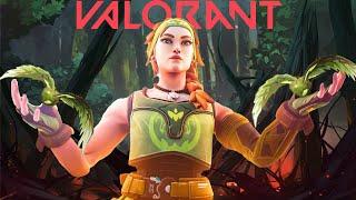 Valorant - 17 Kills  With SKYE- Avenger Gaming 71 - Avenger Gaming 71