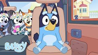 Bluey The Sign  | Brand New - Season 3 | Bluey