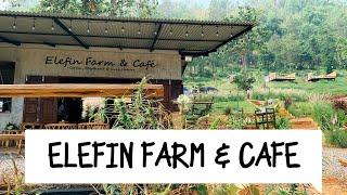 Elefin Farm & Cafe