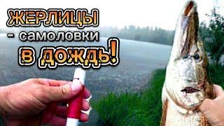 Жерлицы-Самоловки в дождь! Мой рекорд для этого водоёма! Щука!