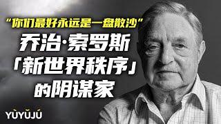 北约都听他的，索罗斯是不是操纵了一切？藏在背后的阴谋家！丨域与局