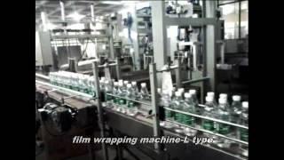 Automatic L type PE Film Shrink Wrapping Machine