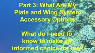 #50 - Part 3 - Backplate and Wing Systems:  Optional Accessories