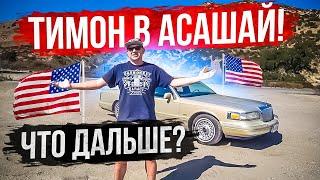 Тимон в Асашай! Что дальше?