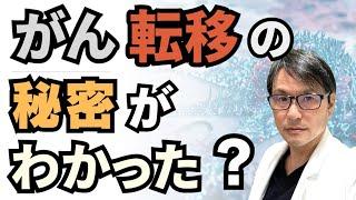 がん転移の秘密がわかった！最新研究により「なぜ癌は転移するのか？」に対する１つの答えが明らかに