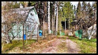 Walking Tour Russian Countryside,  Gruzino Village, Russia May 4, 2023