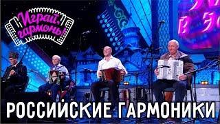 Играй, гармонь! | Коллаж российских гармоник