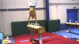 Pommel dismount D