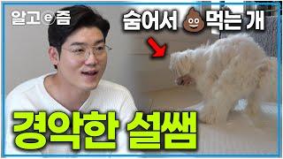 15년째 식분증 있는 첫째 강아지와 7개월 차 식분증 강아지에 깜짝 놀란 설쌤. 강아지 식분증 고치는 방법｜세상에 나쁜 개는 없다｜알고e즘