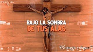 Bajo La Sombra de Tus Alas - Sangre y Agua - Musica Catolica Cristiana