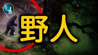 野人並不是 進化中的人。中國神農架！｜ #未解之謎