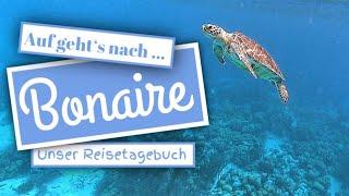 Bonaire: Unser Urlaub auf der Trauminsel in der Karibik (und unsere Corona-Lockdown-Flucht)