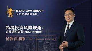 跨境投资风险规避：杨韩青律师解读企业透明法案及BOI Report - 艾利德律师事务所