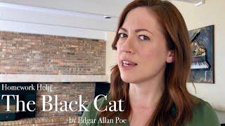 THE BLACK CAT by Edgar Allan Poe Summary & Analysis