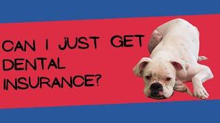 Can I buy dental insurance without health insurance? | Health Insurance Agent Lakewood Ranch Florida