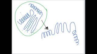 Domains, Motifs and Turns (Lecture 3)