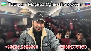 Ташкент Москва автобус ТАШКЕНТ МОСКВА АВТОБУС