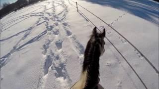 Neige 2017 - I LOVE MY LIFE !