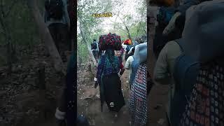 GIRNAR LILI PARIKRAMA 2023