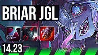 BRIAR vs LEE SIN (JGL) | KR Master | 14.23