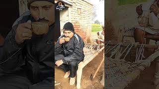 village life tea party | Mian Shakeel Vlogs | Gojra