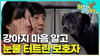 "나 사실 아파요..." 강아지 마음 알고 눈물 터트린 보호자, 정해진 매트 위에서 망부석처럼 움직이지 않는 개 알고 보니 아파서... │#왜그러냥귀엽개