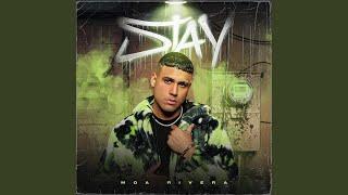 Stay