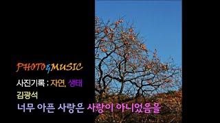 김광석, 너무 아픈 사랑은 사랑이 아니었음을 [PHOTO&MUSIC] 사진기록 - 자연,생태